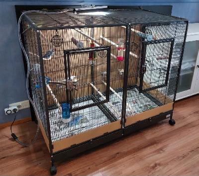 Myydään Savic Tasmania 120 häkki. häkki uudenveroinen. Kaikki osat on kuvien oton jälkeen pesty eläimille turvallisella  pesuaineella ja häkki on purettu osiin. Kaikki osat on merkattu, mikä kuuluu mihinkin ja mukaan tulee myös ohjekirja. Häkissä erikseen lisäosa millä häkin saa jaettua kahdeksi erilliseksi häkiksi. Häkin sivuissa on 4 pientä luukkua, joihin kuuluu ruokakipot. häkin edessä kaksi isoa luukkua on tarkoitettu lintujen käsittelyä varten ja kulkureittinä linnuille.
Häkin alaosassa on 2 ulosvedettävää osaa, ritilikkö jonka alla tiivis metallilaatikko joiden avulla pohjat on todella helppo pitää puhtaana. 

Pohjassa renkaat joiden avulla häkkiä on helppo siirrellä siivouksen aikana.

Häkkiin kuuluu 8 syvyyssuunnassa räysimittaista puista istuma ortta, jotka nekin tietysti kaikki pesty.

Mitat: 
korkeus lattiasta häkin kattoon 107cm
häkin pohjasta kattoon(lentotila) 91cm
leveys 120cm
syvyys 65cm

paikkakunta Ylöjärvi

Myynnissä myös kaikki muut lintujen hoitoon kuuluvat tarvikkeet, lelut,uv valo, lämpölamppu jne.. niistä teen erilliset ilmoitukset tänne mutta kysellä saa jos kiinnostus herää ennen kun kerkeän niitä tänne ilmoittamaan.