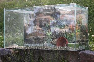 Pienelle jyrsijälle sopiva kokolasinen terraario l. 75 cm x s. 35 cm x k. 40 cm. Hyväkuntoinen ja ehjä, taustakuva ja ruokakuppi mukaan.