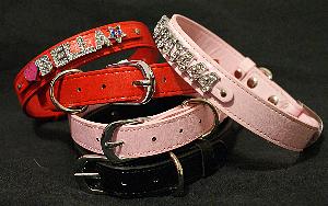 Huippusuosittu panta lemmikillesi 