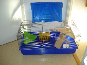 100x55x50 2kpl Heinätelinettä, Juomapullo, Taso, Wc, Kalkkikivi. Ruoka-kippo puuttuu. Muuten täys paketti.

