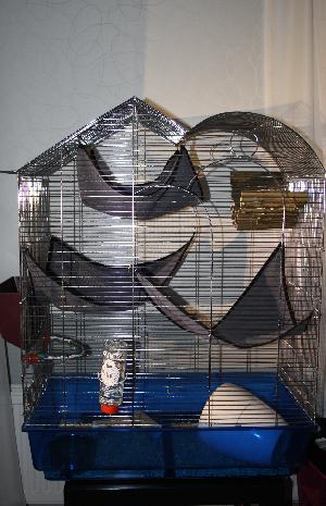 Myynnissä olisi iso häkki joka sopii vaikkapa: rotille, freteille tai linnuille. Häkin mittat ovat: korkeus 95cm, syvyys 39cm ja leveys 73cm. Jos kiinnostuit soita tai tekstaa.