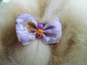 Tässä meillä on uutuus, nimittäin käsintehtyjä rusetteja! :)
Niitä sopii pitää kanin,- kissan,- koiran tai omassa otsatukassa. Voit myös laittaa rusetin kiinni
valjaisiin. Rusetit ovat käsintehtyjä minulta, Jenny :)

Täällä näette valikoimamme:
http://www.teddykaniner.com/f2d16d26-3dc3-4e4f-84de-56444e02879e-29.html

Rusetit lähtetään postitse :)
Ne maksavat 0.50-2.20€ kpl
T.Jenny