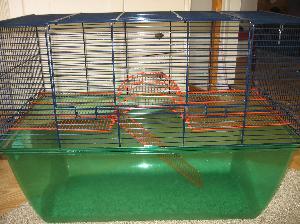 Hamsterille, gerbiileille tai hiirille. Korkea, läpinäkyvä pleksipohja, pinnaväli 11 mm. Pituus 70 cm, leveys 37 cm, korkeus 56 cm. Sivussa suuri ovi.Häkkiosa helppo irrottaa pleksiosasta, helppo siivota. Ovh 99,90 euroa. Erittäin hyväkuntoinen lukuunottamatta toisessa sivussa olevaa muutaman sentin säröä.

