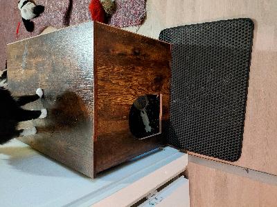 Kaksi naaras kissaa etsii uutta kotia. Joudun kissoista luopumaan allergiaoireiden vuoksi. Wilma eli harmaa valkea narttu on leikattu ja rokotettu. Paasikivi on leikkaamaton ja rokottamaton. Molemmat ovat lempeitä ja tarvitsevät paljon huomiota. Mukaan saa kaikki kissan tarvikkeet kuten kissanlaatikko kaapin laitathan viestiä jos sinulta löytyisi näille kahdelle koti tai edes toiselle mutta kissa kaveri on oltava ja vain sisäkissoiksi. Ulkona voi olla valjaissa tai aidassa