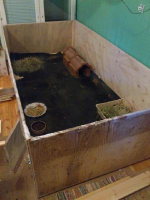 Myydään iso vanerinen aitaus. Sopii esim. jyrsijöille, pentuaitaukseksi yms.
käyttöön. Ollut kahdella kanilla, 3 vuotta vanha. Vaneri on paksua ja kehikko
on tukeva. Sisus on vuorattu kirkkaalla muovilla, pohjan kumimatot saa myös
mukaan. Sivussa on kulkuluukku, jossa on salpa. UlkoMitat 121,5*244 cm. Mukaan
saa halutessa tunnelin, ruokaa, vessalaatikon yms. tarvikkeita.

Myytävänä myös ulkoaitaus ja koppi.
