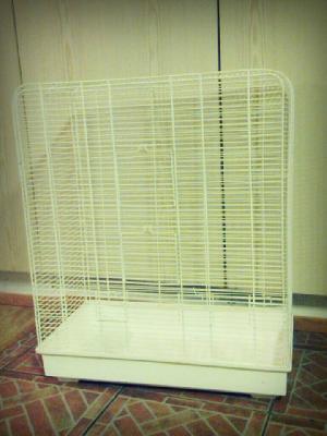 Myydään siisti ja hyväkuntoinen käytetty lintuhäkki. Koko 59x30x70. Pinnojenväli 1cm. Häkissä 2 isoa luukkua ja 4 pientä. Yhteydenotot puh.