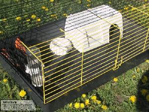 Nyt myynnissä hyväkuntoinen ja suurehko kaninhäkki jopa isommallekkin kaniinille. Häkin mustassa osassa pienehkö halkeama, mutta ei haittaa millään tavalla ja rauta osasta keltaista väriä hieman rapsunut pois, mutta häkki on muuten hyvä. Kyselyt sun muut mielellään sähk-postiin. Kaikki mitä kuvissa näkyy, sisältyy häkin hintaan, toki jos niitä ei halua ottaa, niin ei tarvitse. Voit myöskin kysyä lisää jos on kysymyksiä.