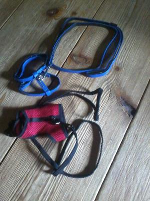 Myydään kuvassa olevat valjaat marsulle/pienelle kanille. Molempia vain kerran kokeiltu marsun päälle.
Siniset ovat nahkaiset ja niissä on pieniä 