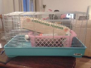 Häkki korkeus 31 leveys 30 pituus 57. 1kg puruja, pussi gerbiilin ruokaa, suolatanko 1-2, juomapullo 