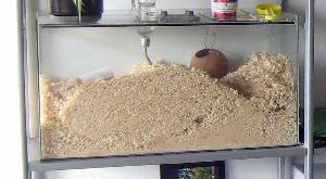 Myymme gerbiilivainajiemme tyhjentyneen kodin tarpeettomana. 

Pituus 75 x korkeus 40 x syvyys 35 cm. Kunto kohtuullinen, rakenne täysin ehjä, mutta kansilevy hiukan risainen. 

Lasinen vesipullo. 

Mukaan tulee myös pieni muovinen matkaterraario.

Nouto Helsingin Malminkartanosta, invaliditeetin vuoksi kantoapua ei ole tarjolla. 