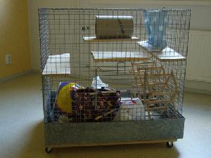 Jyväskylästä löytyisi joutavana tällainen chinchilloille itse tehty häkki. Sopii muillekin eläimilleToiminut meillä lomahäkkinä,mutta nyt täytyisi löytää sille uusi koti. (kuvassa näköjään sisälle jäänyt jonninjoutavaa tavaraa :D) häkki on helppo sisustaa mieleisekseen. Mitat korkeus 80cm, leveys 80cm ja syvyys 60cm. verkon silmäkoko 24mm eli tuuman verran. Edessä yksi avautuva luukku. Häkki nostettavissa pohjaltaan. Alla vaneri pyörillä. Kehtaisko tuosta 50€ pyytää tai sitten voi tarjota