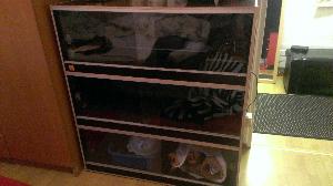 Myydään terraario, jossa kolme kerrosta. Ylä- sekä keskimmäinen kerros on yhdistetty aukolla eli ylä- ja keskikerros ovat 