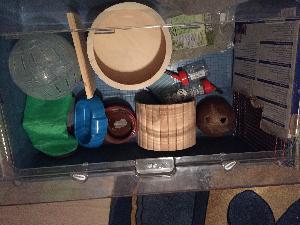 Hamsterin tarvikkeita myynnissä kaikki nämä mitä kuvassa näkyy,Pitäisi saaha mahollisimman pian pois tieltä.