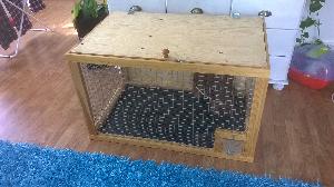 Myydään kesyrotilla ja sen jälkeen degulla käytössä ollut itsetehty häkki. Kunto hyvä, vaikka käytön jälkeä löytyy. Häkin mitat (noin):
Korkeus 60cm
Leveys 95cm
Syvyys 60cm
Lisää tietoa/kuvia kysymällä. Sijaitsee Nokialla.