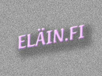 Luovutus ikäisiä pupuja. Emä kääpiölupan ja leijonaharjaksen sekoitus. Isä pieni kääpiö luppa. 